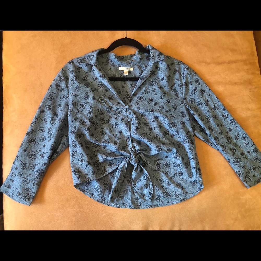 Amuse society cropped button up